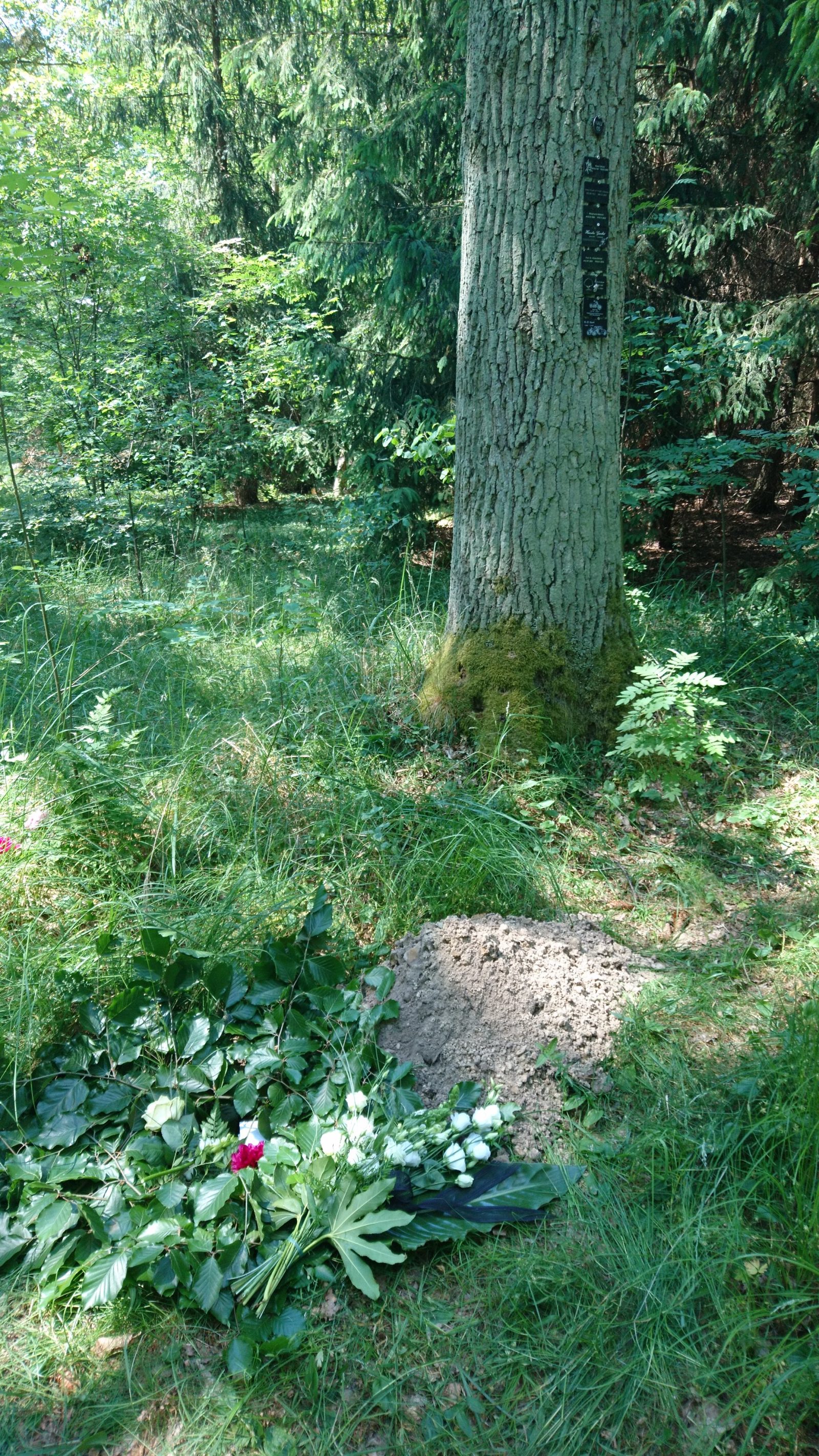 Grab in einem Bestattungswald