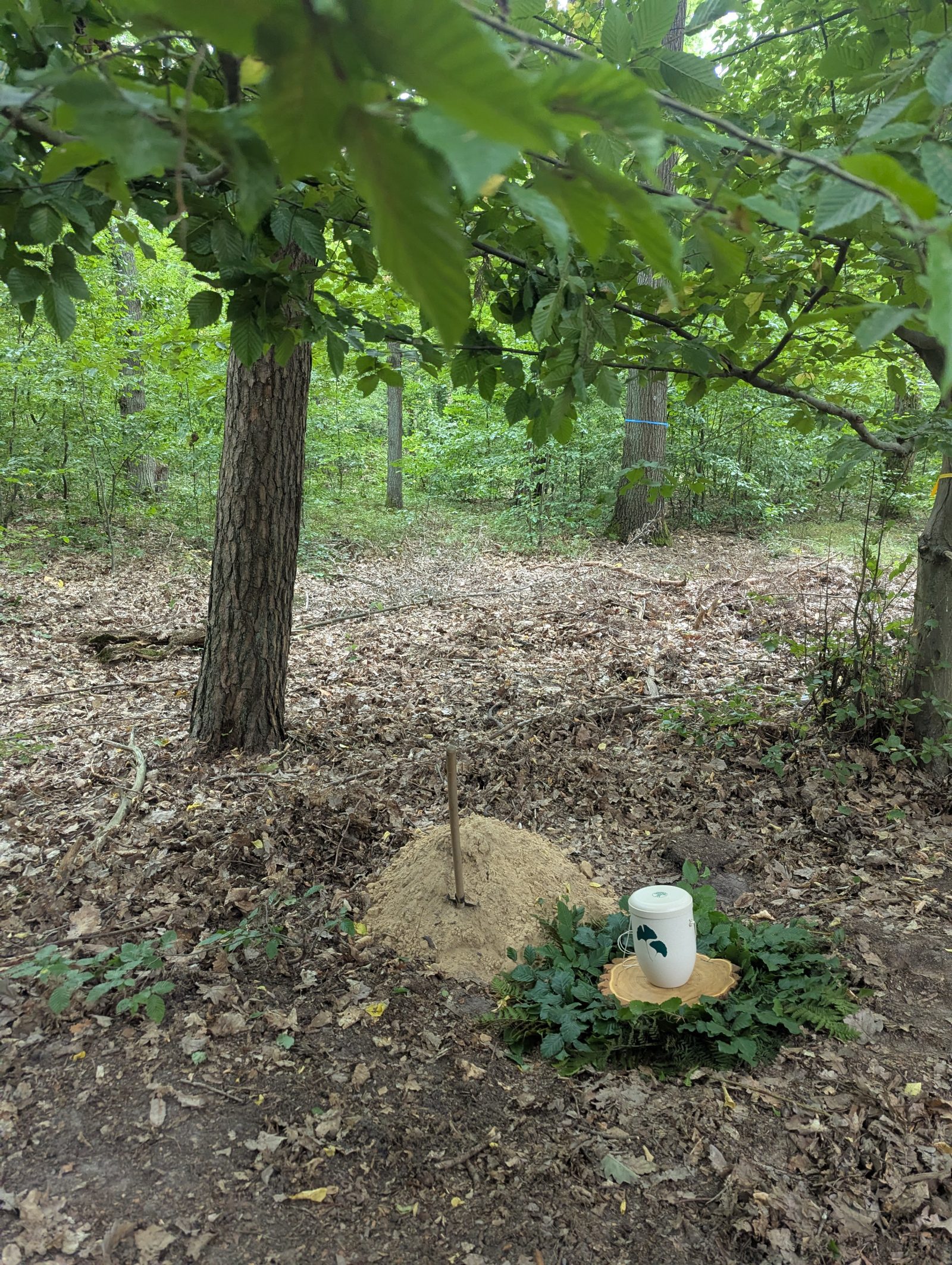 Friedwald Urne vor der Bestattung